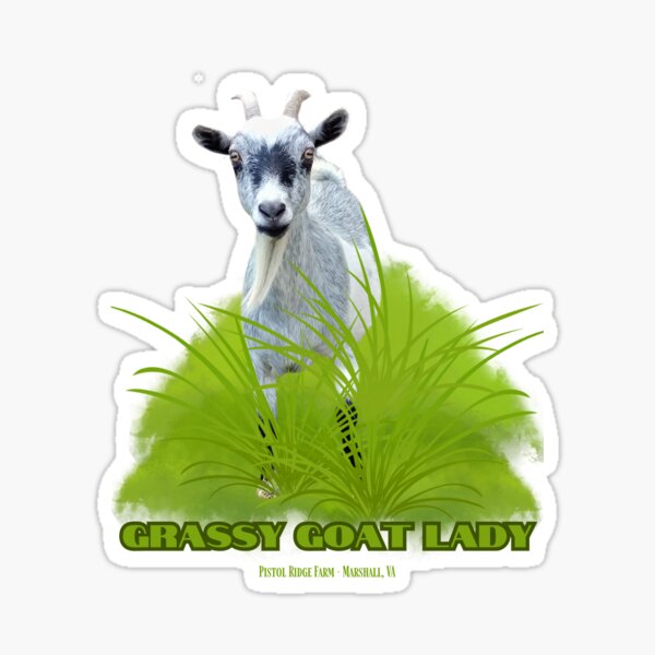 Item preview, Grassy Goat Lady | Cute Goats | Funny Goats | Goat Puns designed and sold by PistolRidgeFarm.