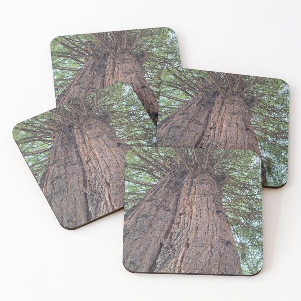 Item preview, Great Trees at Fort Humboldt designed and sold by Dr. Gabriella Korosi.