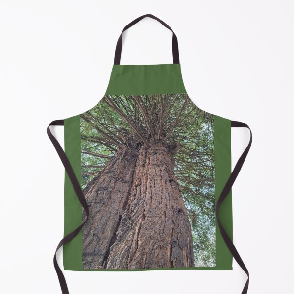 Item preview, Great Trees at Fort Humboldt designed and sold by Dr. Gabriella Korosi.