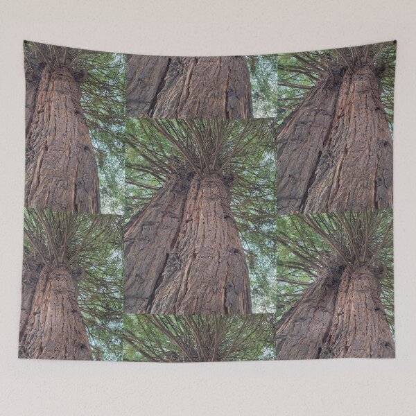 Item preview, Great Trees at Fort Humboldt designed and sold by Dr. Gabriella Korosi.