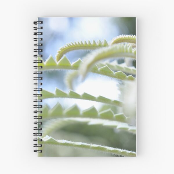 Artikelvorschau, Elfenstadt in Mint und Weiß - Botanische Fotografie - Original abstrakte Kunst entworfen und verkauft von SageFolio.