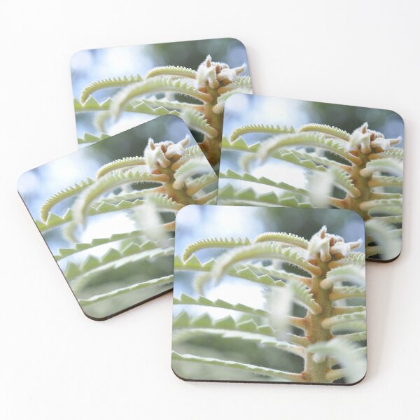 Item preview, Elven City in Mint and White - Botanical Photography - Original Abstract Fine Art designed and sold by SageFolio.