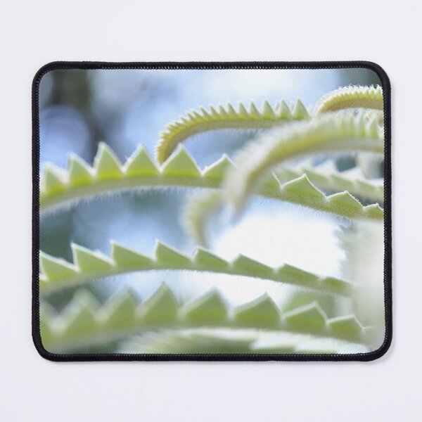 Item preview, Elven City in Mint and White - Botanical Photography - Original Abstract Fine Art designed and sold by SageFolio.
