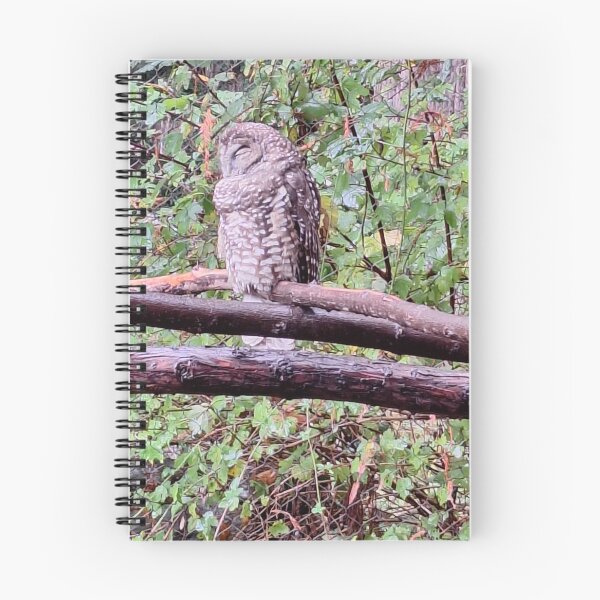 Item preview, Sleeping Owl designed and sold by Dr. Gabriella Korosi.
