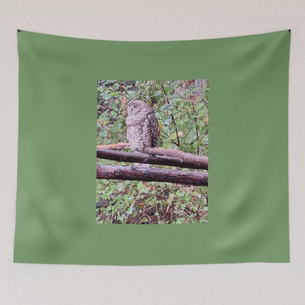 Item preview, Sleeping Owl designed and sold by Dr. Gabriella Korosi.