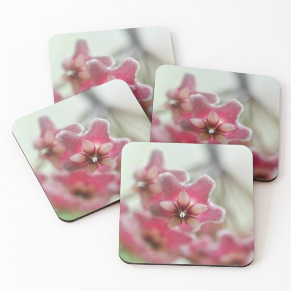Item preview, Petite Bouquet in Blush - Botanical Photography designed and sold by SageFolio.