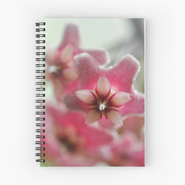 Item preview, Petite Bouquet in Blush - Botanical Photography designed and sold by SageFolio.