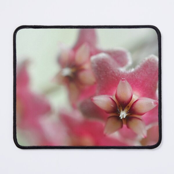 Item preview, Petite Bouquet in Blush - Botanical Photography designed and sold by SageFolio.