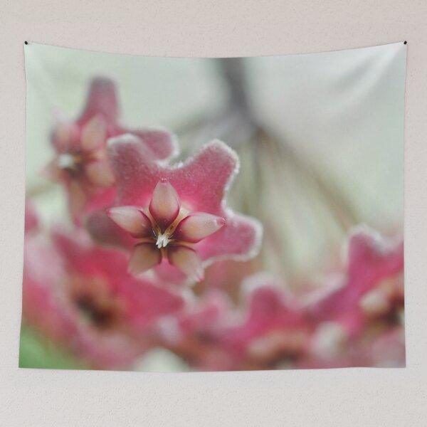 Item preview, Petite Bouquet in Blush - Botanical Photography designed and sold by SageFolio.