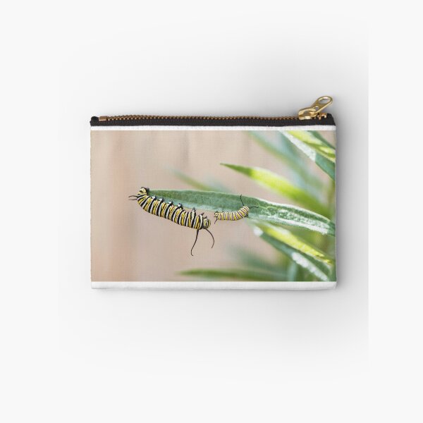 Item preview, monarch caterpillars playing designed and sold by sarahjeanphoto.