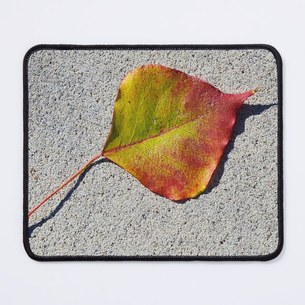 Item preview, Fallen Leaf designed and sold by Lacey Schmidt.