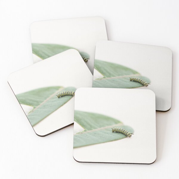 Item preview, monarch caterpillar  designed and sold by sarahjeanphoto.