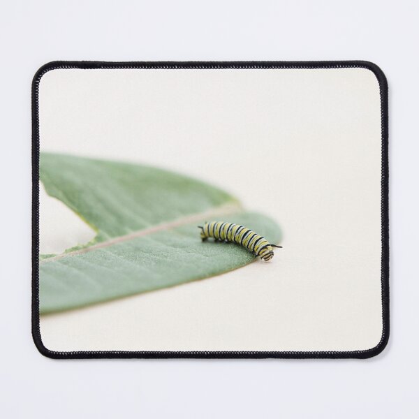 Item preview, monarch caterpillar designed and sold by sarahjeanphoto.