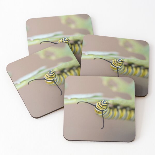 Item preview, monarch caterpillar  designed and sold by sarahjeanphoto.