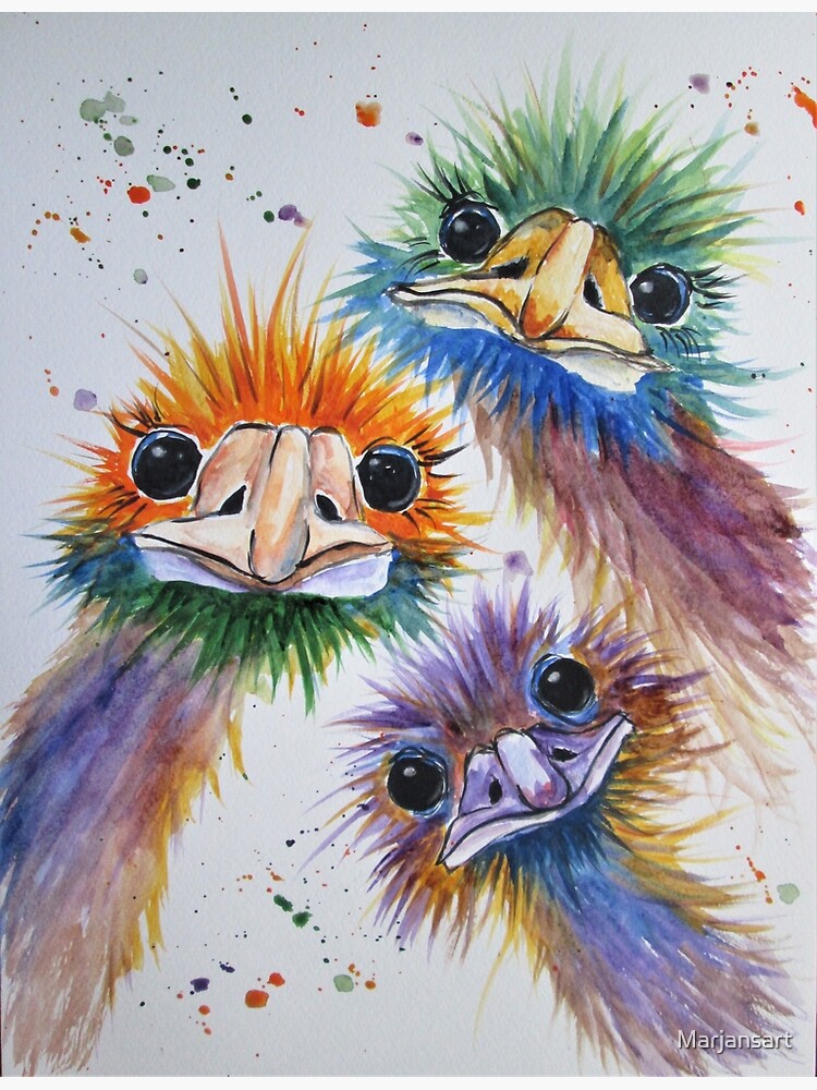 Funky Emu Bird Trio by Marjansart