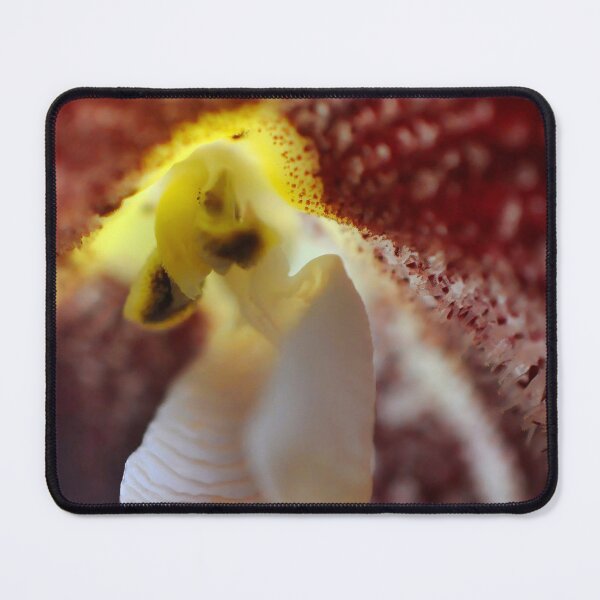Item preview, Dracula Orchid in Dark Red - Botanical Photography - Original Abstract Fine Art designed and sold by SageFolio.