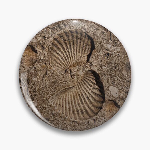 Item preview, Fossilized Smile designed and sold by Lacey Schmidt.