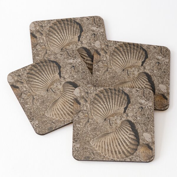Item preview, Fossilized Smile designed and sold by Lacey Schmidt.