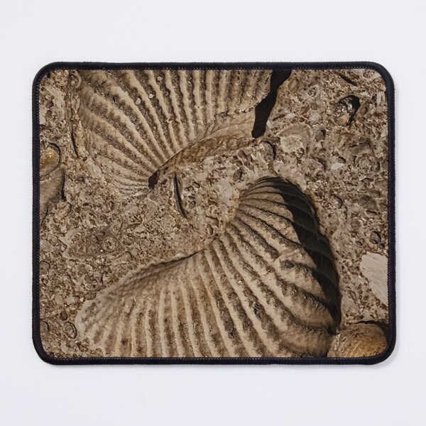 Item preview, Fossilized Smile designed and sold by Lacey Schmidt.
