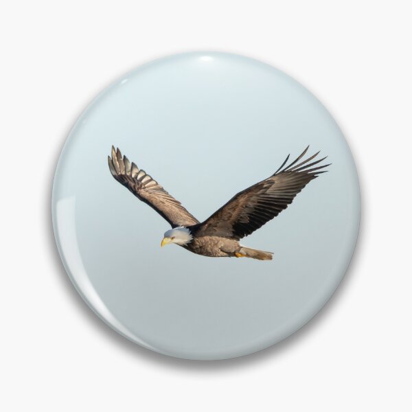 Item preview, American eagle soaring in the sky designed and sold by KRFNatureGifts.