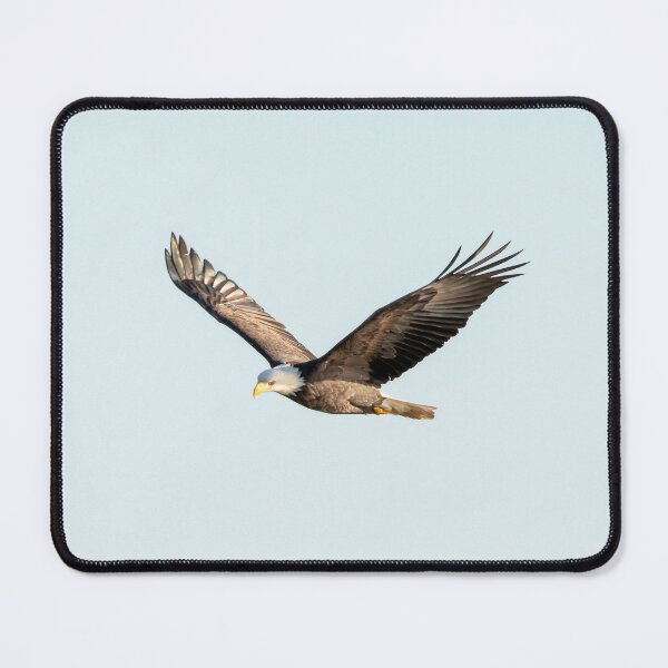 Item preview, American eagle soaring in the sky designed and sold by KRFNatureGifts.