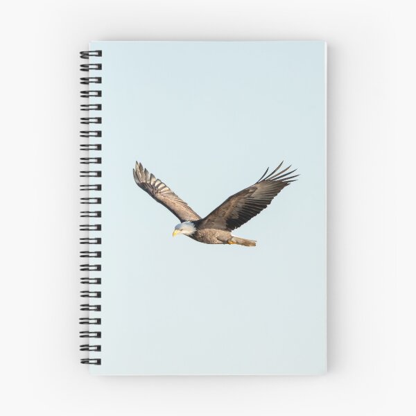 Item preview, American eagle soaring in the sky designed and sold by KRFNatureGifts.