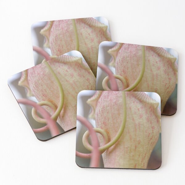 Item preview, Pitcher Plant in Rose and Cream - Botanical Photography - Original Abstract Fine Art designed and sold by SageFolio.