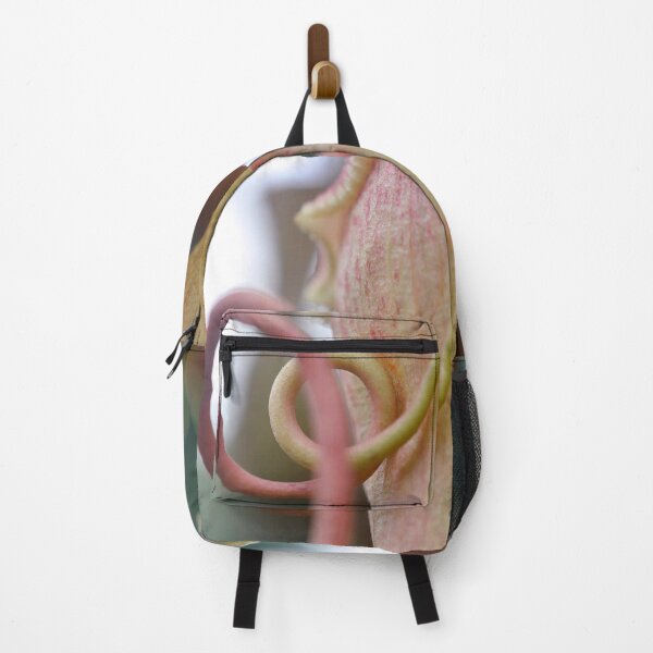 Item preview, Pitcher Plant in Rose and Cream - Botanical Photography - Original Abstract Fine Art designed and sold by SageFolio.