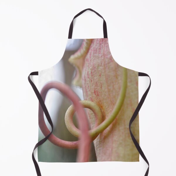 Item preview, Pitcher Plant in Rose and Cream - Botanical Photography - Original Abstract Fine Art designed and sold by SageFolio.