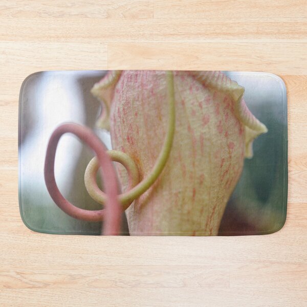 Item preview, Pitcher Plant in Rose and Cream - Botanical Photography - Original Abstract Fine Art designed and sold by SageFolio.