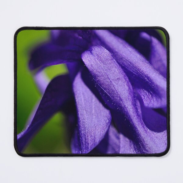 Item preview, Velvet Robes in Royal Purple - Botanical Photography - Original Abstract Fine Art designed and sold by SageFolio.