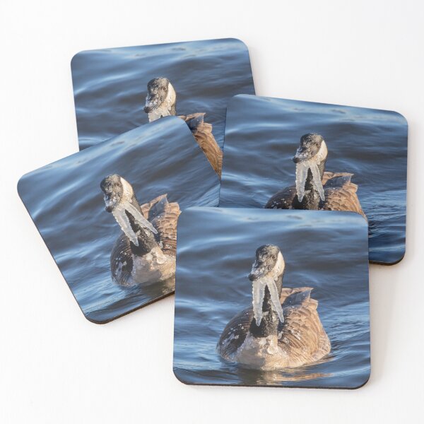 Item preview, Goose with icicles on its neck designed and sold by KRFNatureGifts.