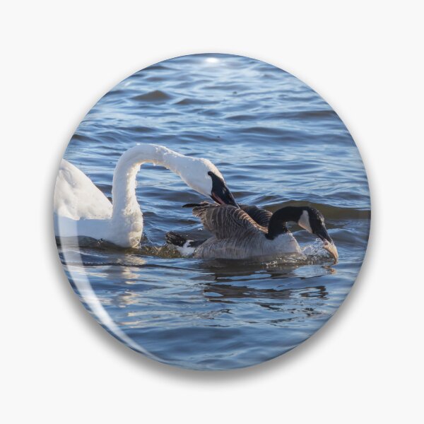 Item preview, Swan, goose and fish designed and sold by KRFNatureGifts.