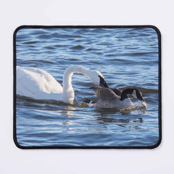 Item preview, Swan, goose and fish designed and sold by KRFNatureGifts.