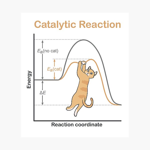 Item preview, Catalytic Reaction designed and sold by Science Lab Designs.