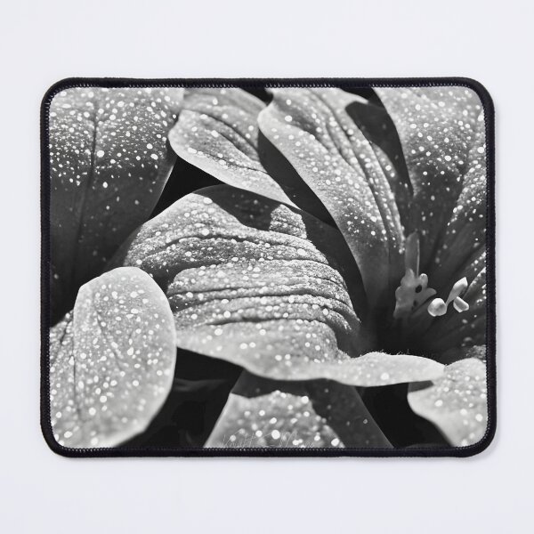 Item preview, Wildflower  designed and sold by OnigiriSuiko.