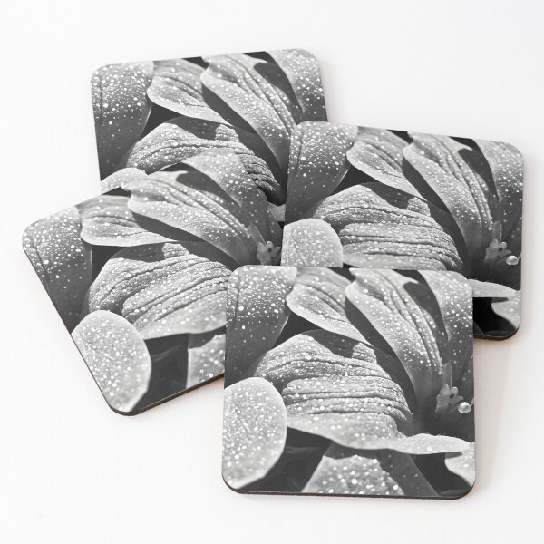 Item preview, Wildflower  designed and sold by OnigiriSuiko.