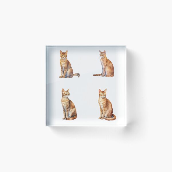 Item preview, Abyssinian Cats designed and sold by TheAnimalZ00.