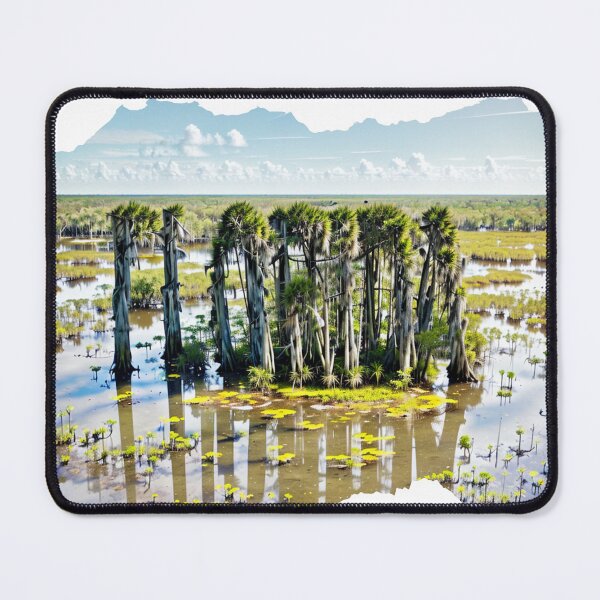 Item preview, FLORIDA 24 19 designed and sold by maveluzone.