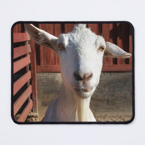 Item preview, Good Morning! designed and sold by heatherfriedman.