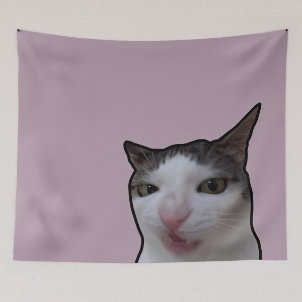 Item preview, Crunchy Meme Cat designed and sold by PoeTatoes.