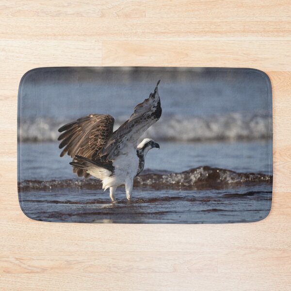Item preview, Oprey Frolic at the beach in Australia - osprey designed and sold by Tara Smithson.