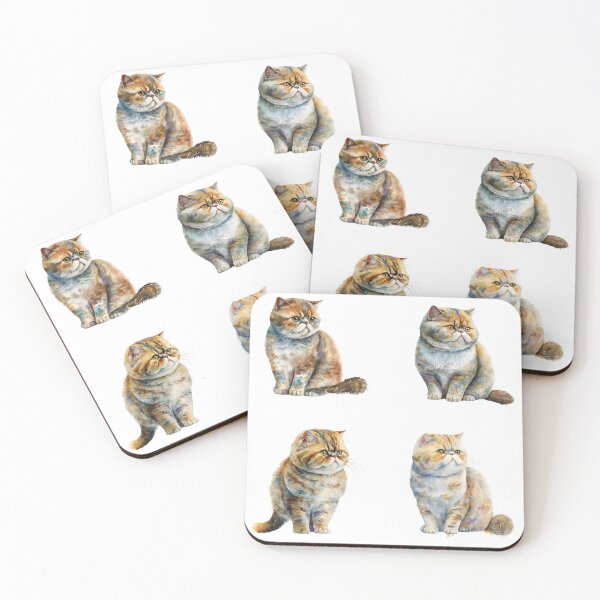 Item preview, Exotic Shorthair Cats designed and sold by TheAnimalZ00.