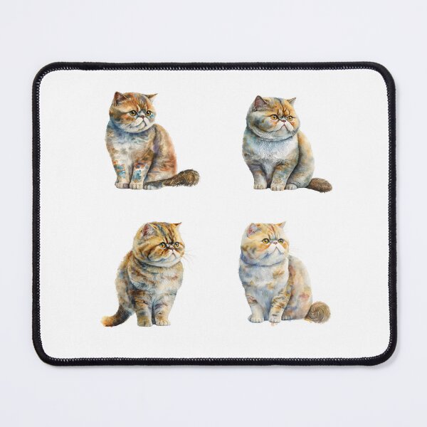 Item preview, Exotic Shorthair Cats designed and sold by TheAnimalZ00.
