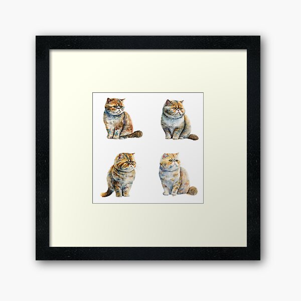 Item preview, Exotic Shorthair Cats designed and sold by TheAnimalZ00.