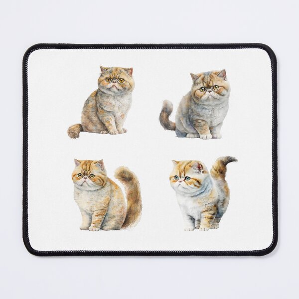 Item preview, Watercolor Exotic Shorthair Cats designed and sold by TheAnimalZ00.