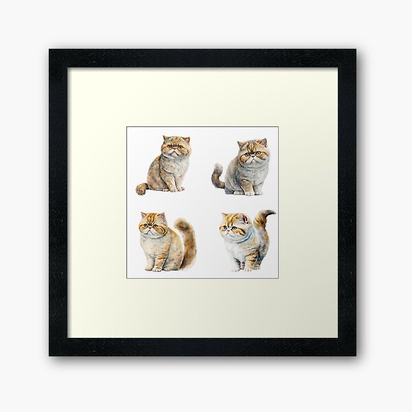 Item preview, Watercolor Exotic Shorthair Cats designed and sold by TheAnimalZ00.