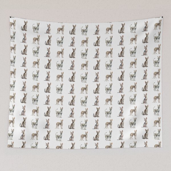 Item preview, Oriental Shorthair Cats designed and sold by TheAnimalZ00.