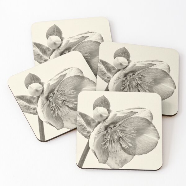 Item preview, Helleborus Frost Kiss Sepia Tone designed and sold by Tanya C  Smith.