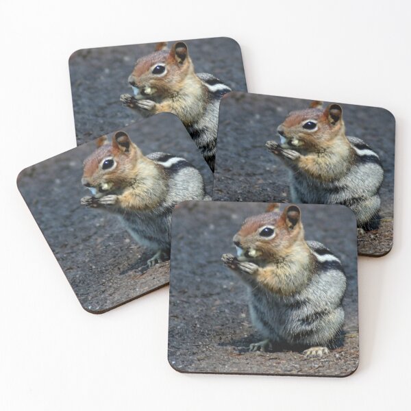 Item preview, Are You Nuts designed and sold by vernonplatt.